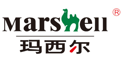 广东玛西尔电动科技有限公司